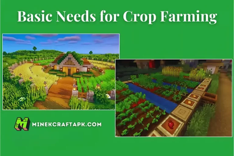 Basic Needs for Crop Farming