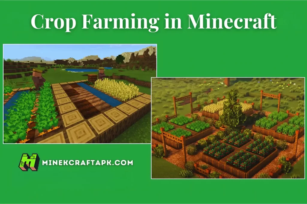 Minecraft Crops