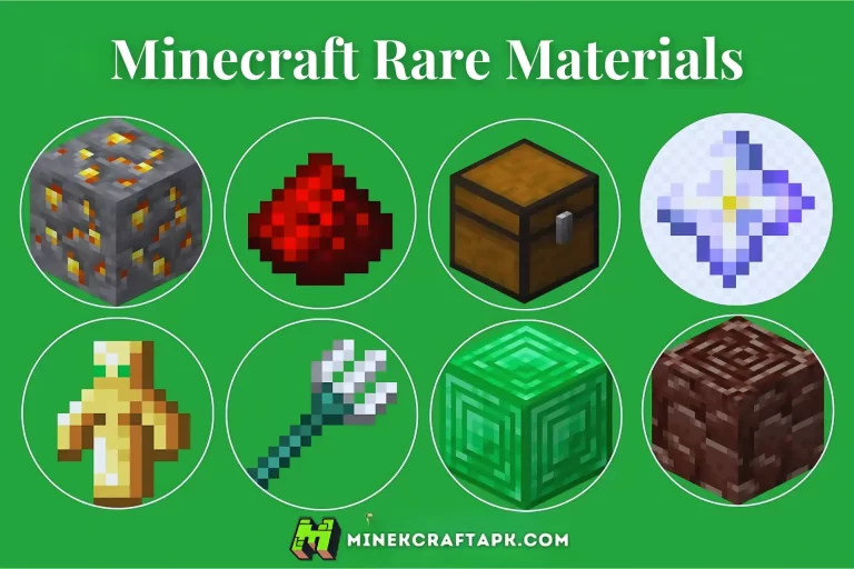 Minecraft Rare Items