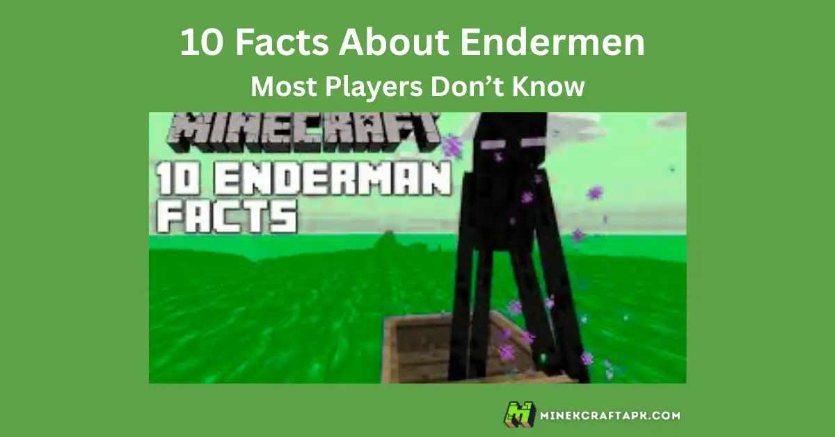 10 Facts About Enderman